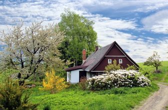 De schoonheid van vaste planten in uw tuin